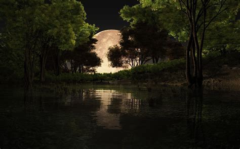 10 Latest Forest Full Moon Wallpaper FULL HD 1920×1080 For PC Desktop 2024