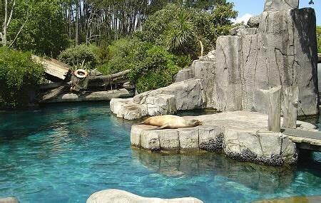 Auckland Zoo, Auckland | Ticket Price | Timings | Address: TripHobo