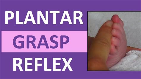 Plantar Grasp Reflex in Infant Newborn | Pediatric Nursing Assessment ...