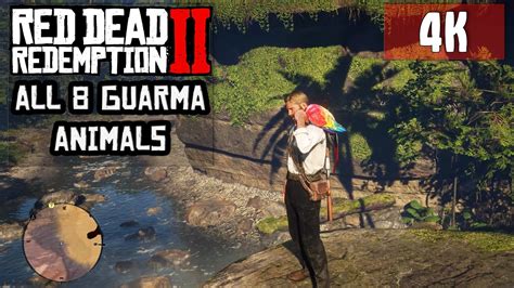 RDR2 - All 8 Guarma Animals - 4K RTX 3080Ti [ULTRA] - YouTube