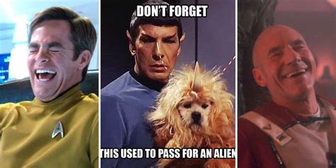 20 Hilarious Star Trek Memes That Will Split Your Sides