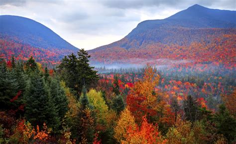 Great Fall Foliage Road Trips of the Northeast – Rebel Health