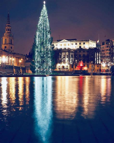 Trafalgar Square's Famous Christmas Tree Is Lighting Up London