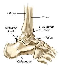 Subtalar Joint Pain - Centeno-Schultz Clinic