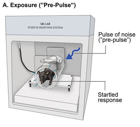 Pre-pulse Inhibition