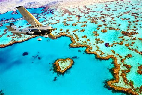 Stunning Heart Reef Whitsundays | Local Information Page