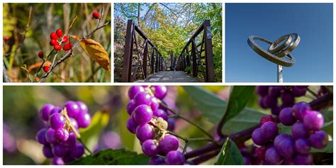 Overland Park Arboretum and Trails - KC Hiker