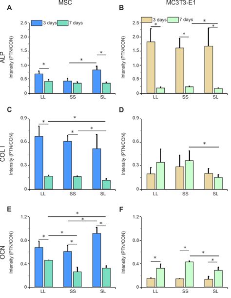 Intensity of osteogenic differentiation markers in cells cultured on a ...