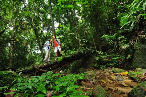 Exploring a Rainforest by Night – at Belum Rainforest Resort in Malaysia