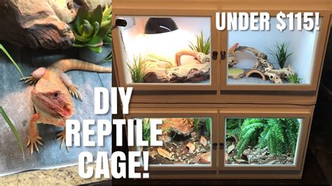 How To Build Your Own Reptile Enclosure! | Perfect for Bearded Dragons ...