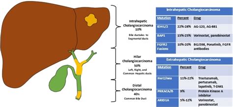 Surgical management of cholangiocarcinoma