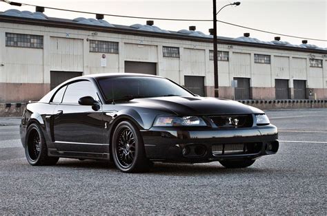 2003 Ford Mustang Cobra Terminator Wallpapers - Wallpaper Cave