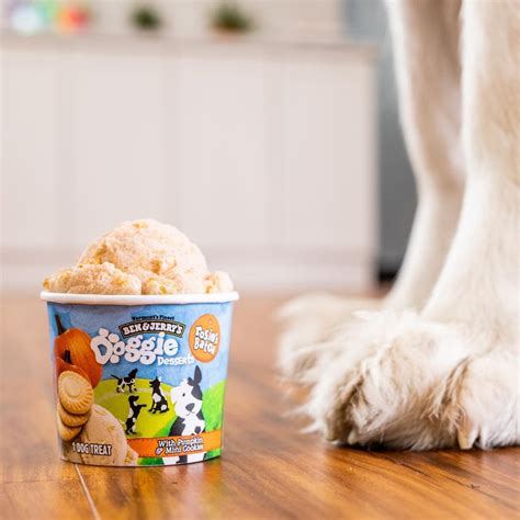 Ben & Jerry's Launches Dog-Friendly Ice Cream Line - This Dogs Life