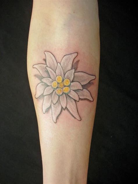 edelweiss tattoo Dad Tattoos, Tattoo You, Henna Tattoo, Art Tattoo ...