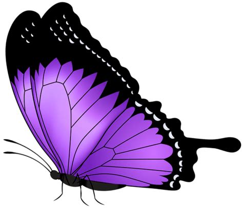 transparent background purple butterfly clipart - Clip Art Library