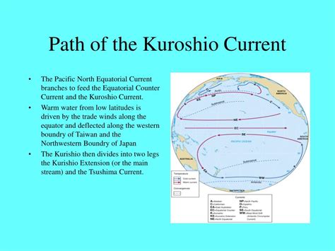 PPT - The Kuroshio Current PowerPoint Presentation, free download - ID ...