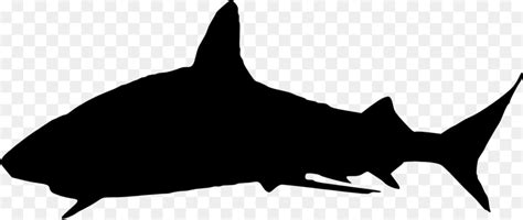 Great white shark Silhouette Clip art - sharks png download - 8000*2808 ...