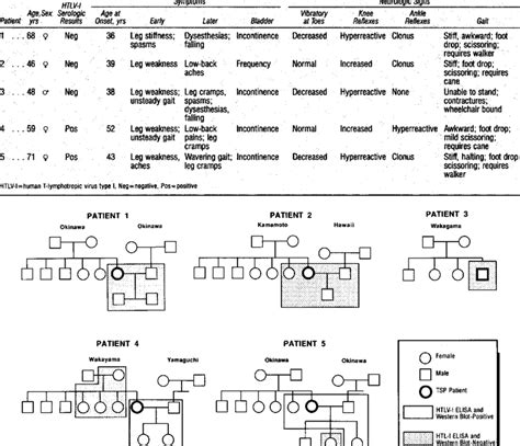 -Clinical Summaty of Patients With Tropical Spastic Paraparesis ...