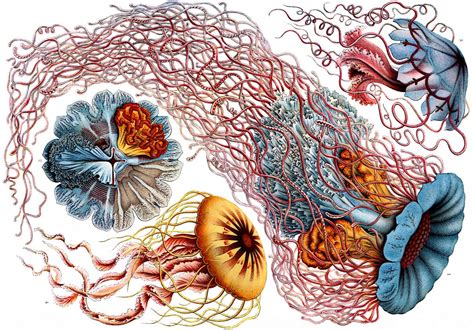 Biology Artwork