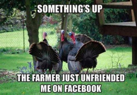 34 Funny Thanksgiving Memes - Barnorama