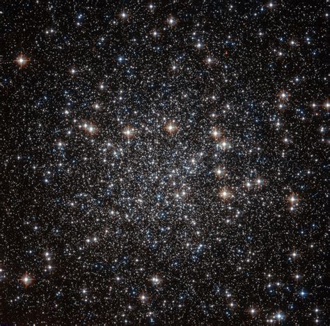 Hubble Image of the Week - Globular Cluster NGC 4833