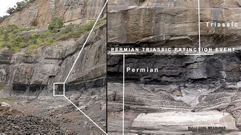 Permian–Triassic extinction event - Alchetron, the free social encyclopedia