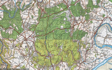 Historic Ordnance Survey Map of Forest of Dean, 1919