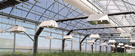 Greenhouse Lighting Systems Customized by GrowSpan