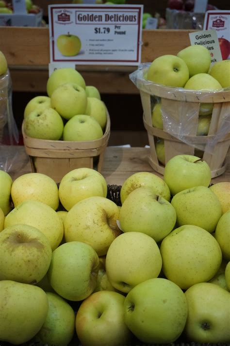 The Best Kinds of Apples for Applesauce - Weavers Orchard