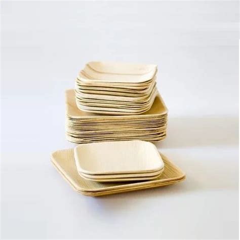 Areca Leaf Eco Friendly Disposable Plates at Rs 5.5/piece in Kasaragod ...