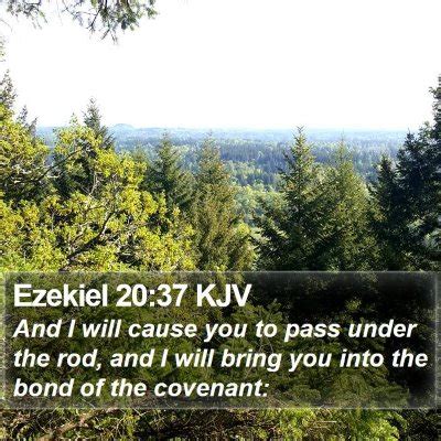 Ezekiel 20 Scripture Images - Ezekiel Chapter 20 KJV Bible Verse Pictures