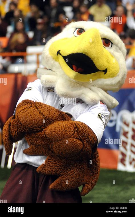 Boston college eagles mascot hi-res stock photography and images - Alamy