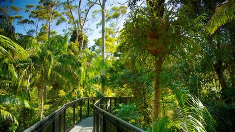 Vacation Homes near Tamborine Rainforest Skywalk, North Tamborine ...