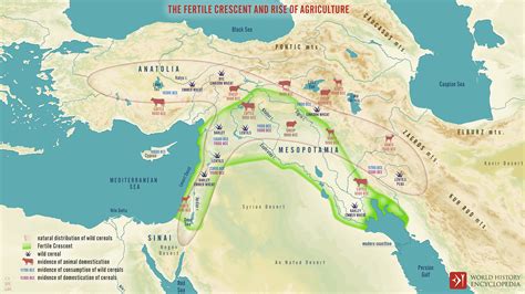 Map of the Fertile Crescent (Illustration) - World History Encyclopedia