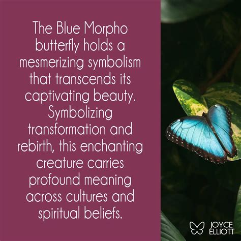 Blue Morpho Butterfly Meaning: The Sacred Messenger of the Rainforest ...