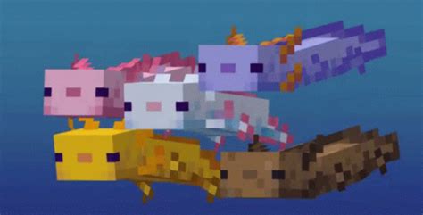 Minecraft: Caves & Cliffs - How To Spawn Axolotl In Your Seed - Gameranx