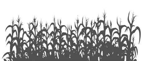 Corn Field Vector at Vectorified.com | Collection of Corn Field Vector ...