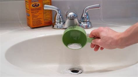 How To Clear A Clogged Toilet Drain at Chad Aidan blog