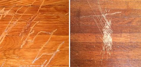 How to Fix Scratches on Engineered Wood Floor | 5 Easy Steps