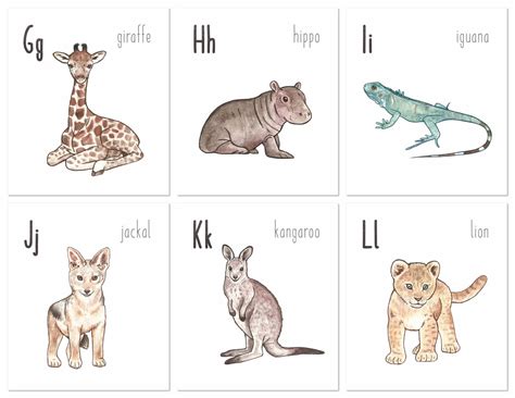 Animal Alphabet Flashcards - Etsy