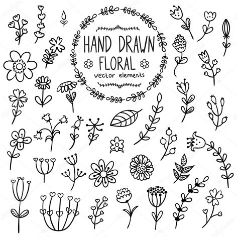 Hand drawn floral elements for your design Stock Vector Image by ...