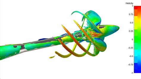 Case Studies | Propeller Cavitation - NUMECA