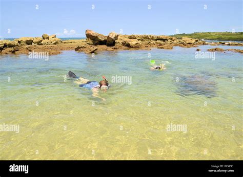 Snorkeling at Poipu Beach Park in Koloa on the Island of Kauai in ...