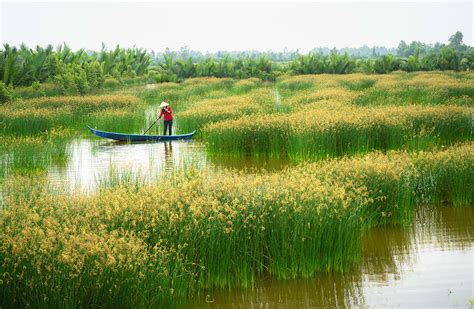 19 Best Places To Visit In The Mekong Delta - Rainforest Cruises