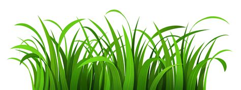 Green Grass Border Clipart | Clipart Panda - Free Clipart Images ...