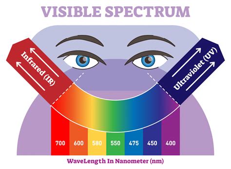 The Visible Spectrum: Overview With Colors Listed in Order of ...