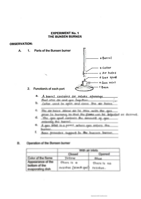 SOLUTION: Bunsen burner experiment - Studypool