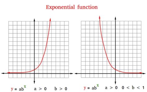 Exponential function graph - inrikoresume