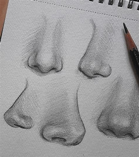 How To Draw A Nose Step By Step For Beginners - Learn Now | Art ...