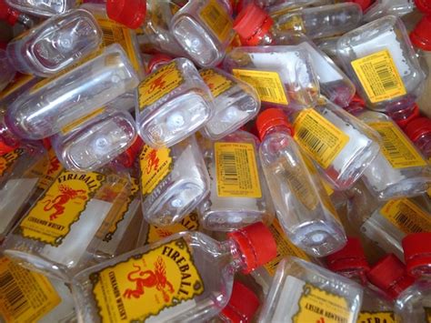 Fireball Lot 15 Mini Bottles 50-ml Alcohol Liquor Cinnamon | Etsy